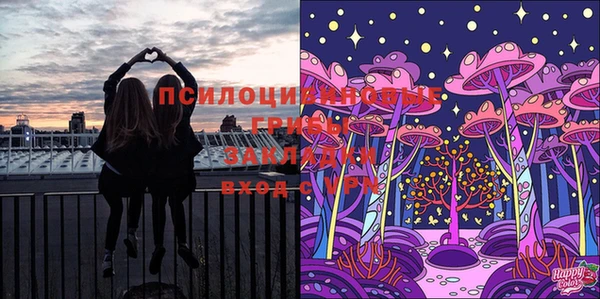 марки lsd Балахна