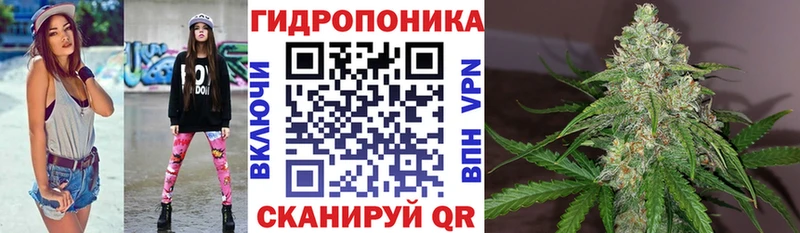 Шишки марихуана гибрид  как найти наркотики  Свирск 